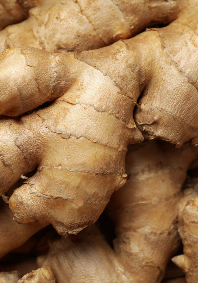 a ginger root